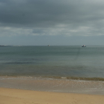 DSC00700-w740_h495